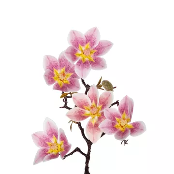 Τεχνητός Κήπος PING MAGNOLIA BRANCH  Τεχνητό Διακοσμητικό Κλαδί Ροζ Μαγνόλια Y57cm