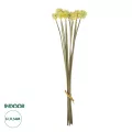 Τεχνητός Κήπος PALE YELLOW DANDELION BOUQET  Τεχνητό Διακοσμητικό Ταραξάκο Μπουκέτο Y54cm