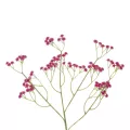 Τεχνητός Κήπος PINK BRANCH BABY BREATH  Τεχνητό Διακοσμητικό Κλαδί Ροζ Γυψοφίλης Y53cm