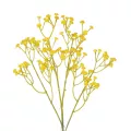 Τεχνητός Κήπος YELLOW BRANCH BABY BREATH  Τεχνητό Διακοσμητικό Κλαδί Κίτρινης Γυψοφίλης Y53cm