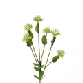 Τεχνητός Κήπος GREEN IRON THREAD BRANCH  Τεχνητό Διακοσμητικό Κλαδί Πράσινο Ασπιδίστρα  Y57cm