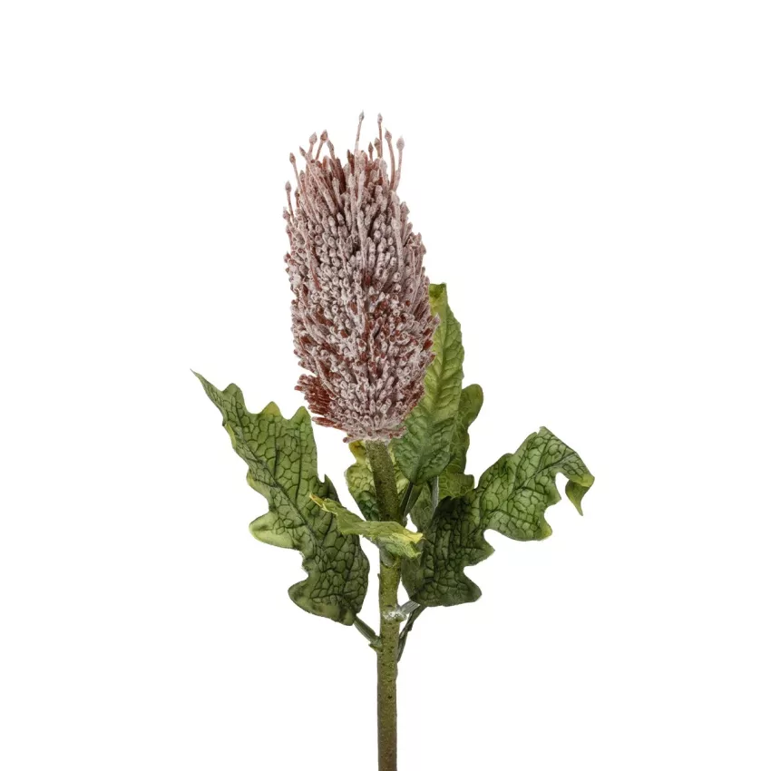 Τεχνητός Κήπος PURPLE STUPA FRUIT BRANCH  Τεχνητό Διακοσμητικό Κλαδί Στίπα  Y69cm