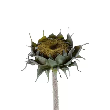 Τεχνητός Κήπος GREEN SUNFLOWER BRANCH  Τεχνητό Διακοσμητικό Κλαδί Ηλιοτρόπιο Πράσινο Y60cm