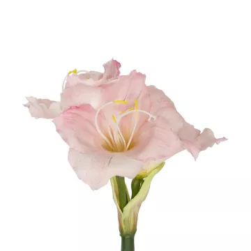 Τεχνητός Κήπος PINK KAFFIR LILY BRANCH  Τεχνητό Διακοσμητικό Κλαδί Ροζ Κρίνο Y58cm