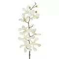 Τεχνητός Κήπος WHITE VANDA ORCHID BRANCH  Τεχνητό Διακοσμητικό Κλαδί Λευκή Ορχιδέα Y82cm