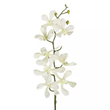 Τεχνητός Κήπος WHITE VANDA ORCHID BRANCH  Τεχνητό Διακοσμητικό Κλαδί Λευκή Ορχιδέα Y82cm