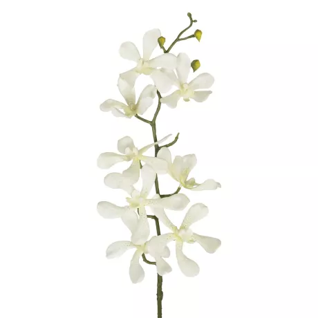 Τεχνητός Κήπος WHITE VANDA ORCHID BRANCH  Τεχνητό Διακοσμητικό Κλαδί Λευκή Ορχιδέα Y82cm