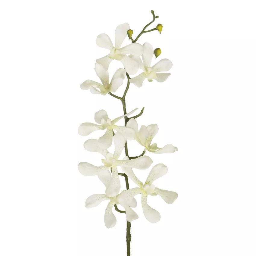 Τεχνητός Κήπος WHITE VANDA ORCHID BRANCH  Τεχνητό Διακοσμητικό Κλαδί Λευκή Ορχιδέα Y82cm