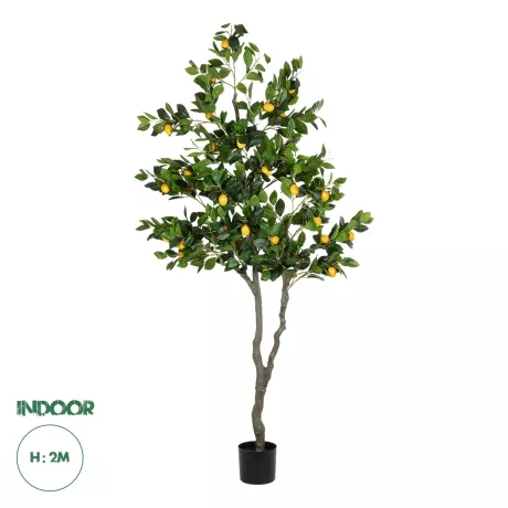 Τεχνητός Κήπος LEMON TREE  Τεχνητό Διακοσμητικό Δέντρο Λεμονιά Υ200cm