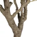 Τεχνητός Κήπος OLIVE TREE  Τεχνητό Διακοσμητικό Δέντρο Ελιά Υ220cm