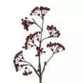 Τεχνητός Κήπος RED HOLLY BERRIES FRUIT BRANCH  Τεχνητό Διακοσμητικό Κλαδί Κόκκινο Γκί Y86cm