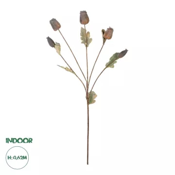 Καλάμι Bamboo Ø12-14 x 300εκ.