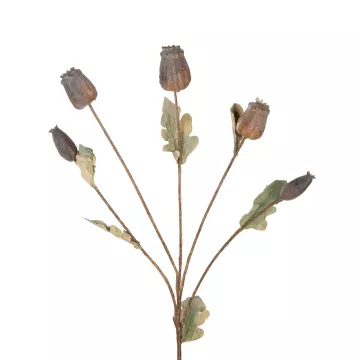 Καλάμι Bamboo Ø12-14 x 300εκ.