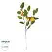 Καλάμι Bamboo Ø3-3,5 x 300εκ.