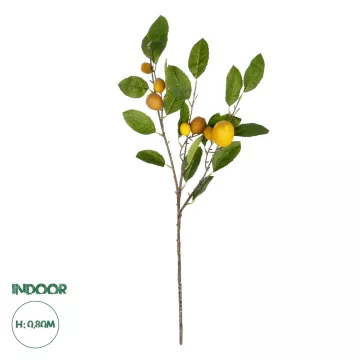 Καλάμι Bamboo Ø3-3,5 x 300εκ.