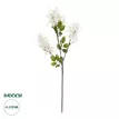 Τεχνητός Κήπος WHITE AMARANTHUS FRUIT BRANCH  Τεχνητό Διακοσμητικό Κλαδί Λευκός Αμάρανθος Y95cm