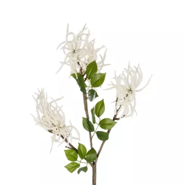 Τεχνητός Κήπος WHITE AMARANTHUS FRUIT BRANCH  Τεχνητό Διακοσμητικό Κλαδί Λευκός Αμάρανθος Y95cm