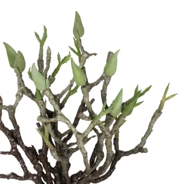 Τεχνητός Κήπος GREEN ORCHID BOUQET  Τεχνητό Διακοσμητικό Μπουκέτο Πράσινη Ορχιδέα Y34cm