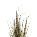 Τεχνητός Κήπος ZEBRA GRASS  Τεχνητό Διακοσμητικό Φυτό Ζέμπρα  Υ85cm