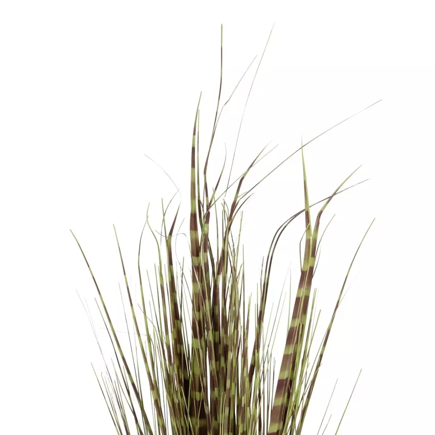 Τεχνητός Κήπος ZEBRA GRASS  Τεχνητό Διακοσμητικό Φυτό Ζέμπρα  Υ85cm