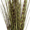 Τεχνητός Κήπος ZEBRA GRASS  Τεχνητό Διακοσμητικό Φυτό Ζέμπρα  Υ85cm