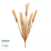 Τεχνητός Κήπος ORANGE PAMPAS GRASS BRANCH  Τεχνητό Διακοσμητικό Κλαδί Πορτοκαλί Πάμπας Y88cm