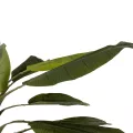 Τεχνητός Κήπος BANANA TREE  Τεχνητό Διακοσμητικό Δέντρο Μπανανιάς Υ400cm