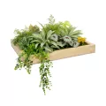Τεχνητός Κήπος VARIOUS   Τεχνητό Διακοσμητικό Φυλλωσιάς σε Ξύλινο Πάνελ  - Κάθετος Κήπος Μιξ Μ60 x Π60 x Υ32cm