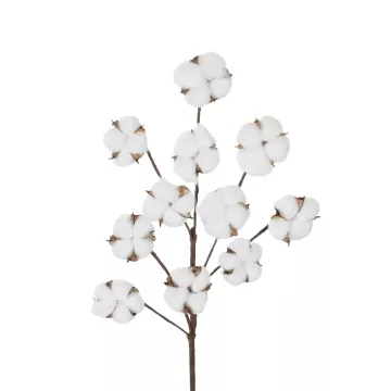 Τεχνητός Κήπος COTTON BRANCH  Τεχνητό Διακοσμητικό Κλαδί Βαμβάκι Μ30 x Π6 x Υ80 cm