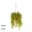 Τεχνητός Κήπος GOLDEN BELL WILLOW HANGING   Τεχνητό Κρεμαστό Διακοσμητικό Φυτό Κίτρινη Ιτιά Μ40 x Π40 x Y60cm