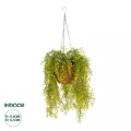 Τεχνητός Κήπος GOLDEN BELL WILLOW HANGING   Τεχνητό Κρεμαστό Διακοσμητικό Φυτό Κίτρινη Ιτιά Μ40 x Π40 x Y60cm