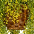 Τεχνητός Κήπος GOLDEN BELL WILLOW HANGING   Τεχνητό Κρεμαστό Διακοσμητικό Φυτό Κίτρινη Ιτιά Μ40 x Π40 x Y60cm