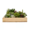Τεχνητός Κήπος VARIOUS Τεχνητό Διακοσμητικό Φυλλωσιάς σε Ξύλινο Πάνελ - Κάθετος Κήπος Μιξ Μ60 x Π60 x Υ20cm Τεχνητός Κήπος VARIOUS Τεχνητό Διακοσμητικό Φυλλωσιάς σε Ξύλινο Πάνελ - Κάθετος Κήπος Μιξ Μ60 x Π60 x Υ20cm