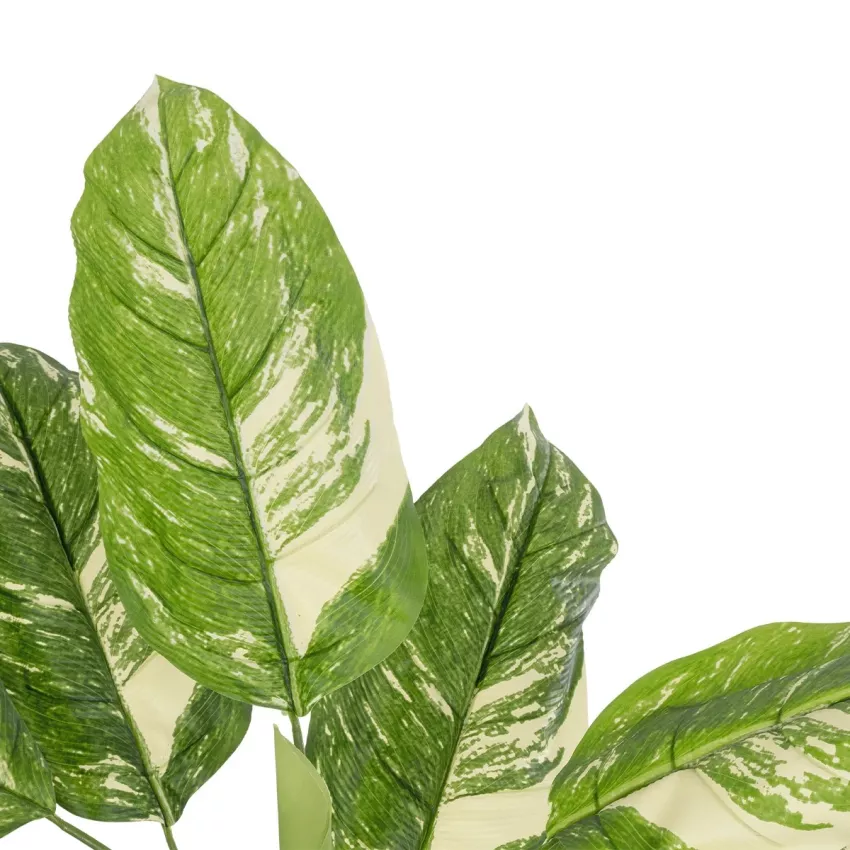 Τεχνητός Κήπος DIEFFENBACHIA Τεχνητό Διακοσμητικό Φυτό Πράσινη & Μπεζ Διφενμπάχια Μ80 x Π80 x Υ90cm Τεχνητός Κήπος DIEFFENBACHIA Τεχνητό Διακοσμητικό Φυτό Πράσινη & Μπεζ Διφενμπάχια Μ80 x Π80 x Υ90cm