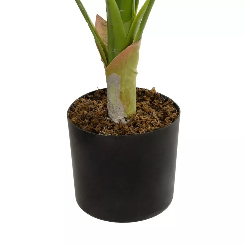 Τεχνητός Κήπος DIEFFENBACHIA Τεχνητό Διακοσμητικό Φυτό Πράσινη & Μπεζ Διφενμπάχια Μ80 x Π80 x Υ90cm Τεχνητός Κήπος DIEFFENBACHIA Τεχνητό Διακοσμητικό Φυτό Πράσινη & Μπεζ Διφενμπάχια Μ80 x Π80 x Υ90cm