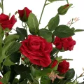 Τεχνητός Κήπος RED ROSES  Τεχνητό Διακοσμητικό Δέντρο Τριανταφυλλιά Μ50 x Π50 x Υ90cm