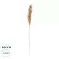 Τεχνητός Κήπος PAMPAS GRASS  Αποξηραμένο Διακοσμητικό Γρασίδι Πάμπας Μ10 x Π10 x Υ150cm
