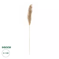 Τεχνητός Κήπος PAMPAS GRASS  Αποξηραμένο Διακοσμητικό Γρασίδι Πάμπας Μ10 x Π10 x Υ150cm
