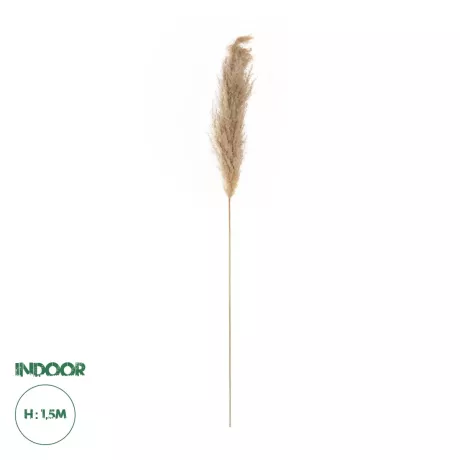 Τεχνητός Κήπος PAMPAS GRASS  Αποξηραμένο Διακοσμητικό Γρασίδι Πάμπας Μ10 x Π10 x Υ150cm