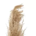 Τεχνητός Κήπος PAMPAS GRASS  Αποξηραμένο Διακοσμητικό Γρασίδι Πάμπας Μ10 x Π10 x Υ150cm