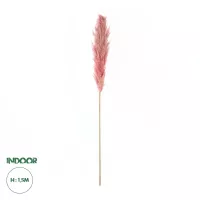Τεχνητός Κήπος PAMPAS GRASS  Αποξηραμένο Διακοσμητικό Γρασίδι Πάμπας Μ10 x Π10 x Υ150cm