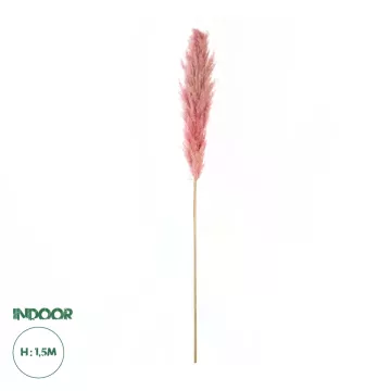 Τεχνητός Κήπος PAMPAS GRASS  Αποξηραμένο Διακοσμητικό Γρασίδι Πάμπας Μ10 x Π10 x Υ150cm