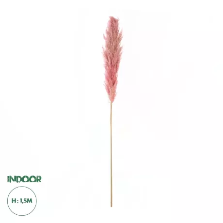 Τεχνητός Κήπος PAMPAS GRASS  Αποξηραμένο Διακοσμητικό Γρασίδι Πάμπας Μ10 x Π10 x Υ150cm
