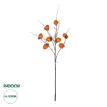 Τεχνητός Κήπος PERSIMMON FRUIT  Τεχνητό Διακοσμητικό Κλαδί Πορτοκαλί & Καφέ Λωτός Μ35 x Π7 x Υ90cm