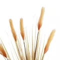 Τεχνητός Κήπος PAMPAS GRASS  Τεχνητό Διακοσμητικό Φυτό Μπεζ Πάμπας Μ90 x Π40 x Υ150cm
