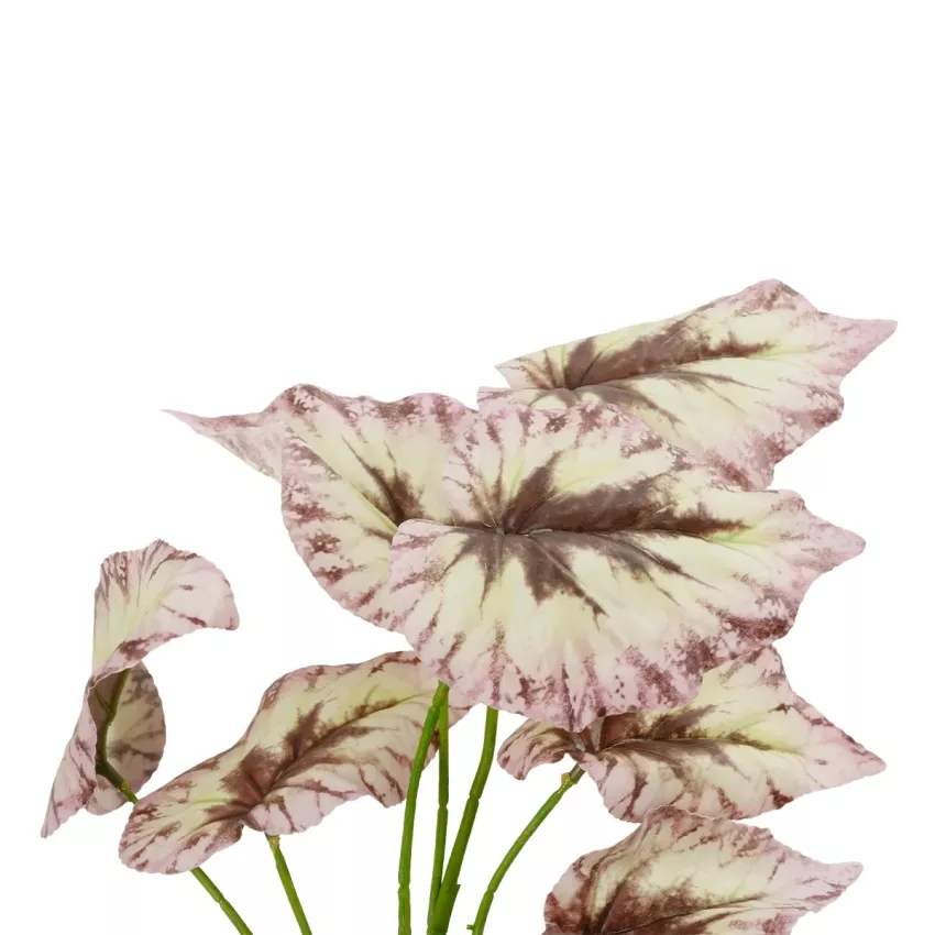 Τεχνητός Κήπος BEGONIA LEAVES ROOTED  Τεχνητό Διακοσμητικό Φυτό Πολύχρωμη Βιγόνια Μ25 x Π14 x Υ35cm