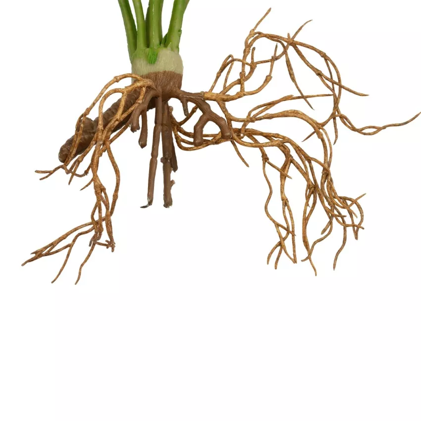 Τεχνητός Κήπος BEGONIA LEAVES ROOTED  Τεχνητό Διακοσμητικό Φυτό Πολύχρωμη Βιγόνια Μ25 x Π14 x Υ35cm