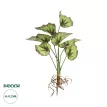 Τεχνητός Κήπος BEGONIA LEAVES ROOTED  Τεχνητό Διακοσμητικό Φυτό Πολύχρωμη Βιγόνια Μ25 x Π14 x Υ35cm