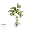 Τεχνητός Κήπος BEGONIA LEAVES ROOTED  Τεχνητό Διακοσμητικό Φυτό Πολύχρωμη Βιγόνια Μ25 x Π14 x Υ35cm