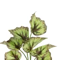 Τεχνητός Κήπος BEGONIA LEAVES ROOTED  Τεχνητό Διακοσμητικό Φυτό Πολύχρωμη Βιγόνια Μ25 x Π14 x Υ35cm